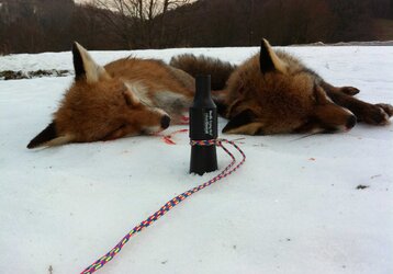Wabiki na lisy Nordik Predator zagwarantują udane polowanie
