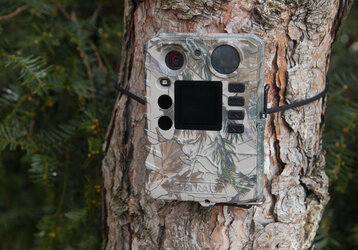 8 powodów, dla których warto zapewnić bezpieczeństwo za pomocą najmniejszej fotopułapki TETRAO Strix18