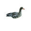 Bałwanek White Goose gęś białoczelna
