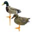 Zestaw bałwanek stojący/składany Mallard krzyżówka - dzika kaczka i kaczor