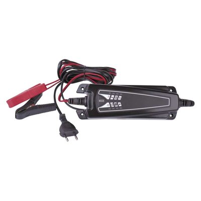 Inteligentná nabíjačka pre 6v a 12v batérie - nabijacka_autobaterii_univerzalna