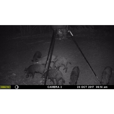 Fotopasca moultrie a-30 - 71jDEfaOQhL