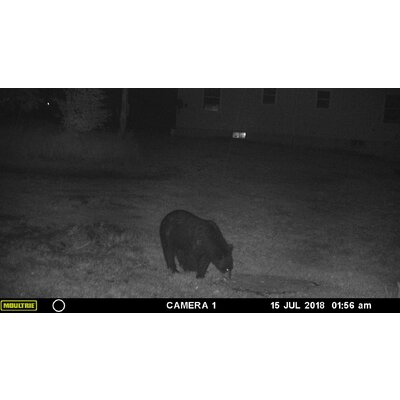 Fotopasca moultrie a-30 - 71ssM-1pZ9L