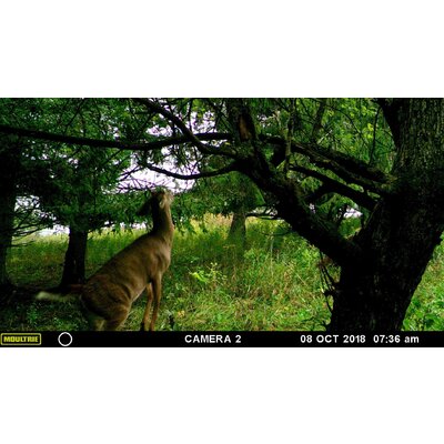 Fotopasca moultrie a-30 - 816JQD9-hvL