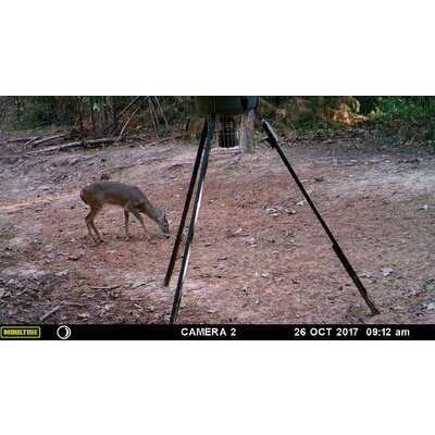 Fotopasca moultrie a-30 - 81IrZBfQakL