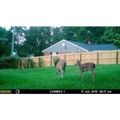 Fotopasca moultrie a-30 - 81w3Gt6AQnL