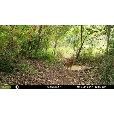 Fotopasca moultrie a-30 - 91PlN-uk32L