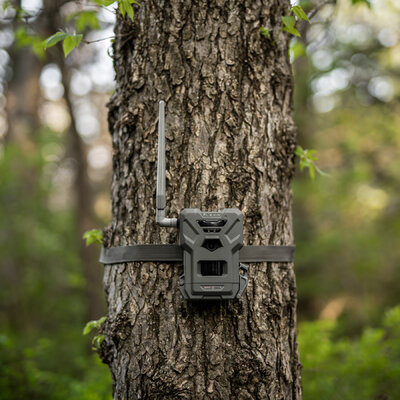 Fotopasca spypoint flex-m 28 mpx + 2 sim karty zdarma - fotopasca_spypoint_flex_28_mpx_2_sim_karty_zadarmo_6