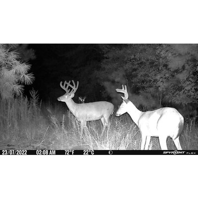 Fotopasca spypoint flex-s 36 mpx + 2 sim karty zdarma - 468af7ae-a16c-541a-b5fa-cb34f33738db