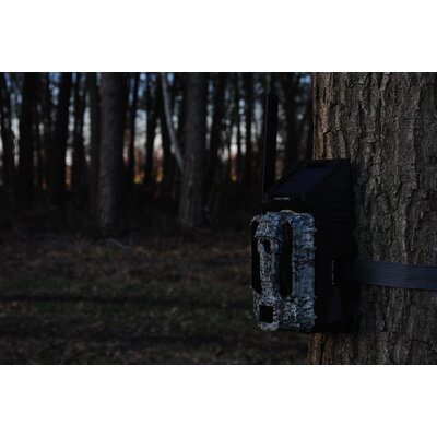 Fotopasca spypoint link-s-dark - link_s_dark_7