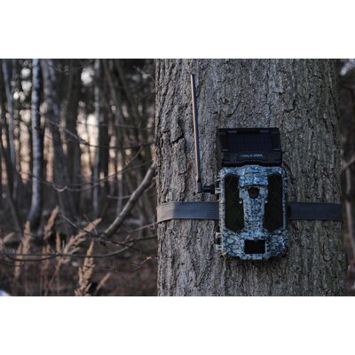 Fotopasca spypoint link-s-dark - link_s_dark_8