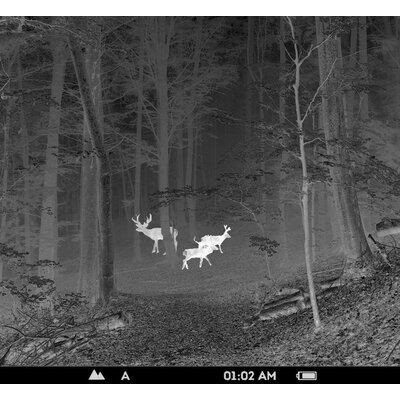 Termovízia pulsar core fxq38 bw - crop_990x910_crop_990x910_monocular-mode-city