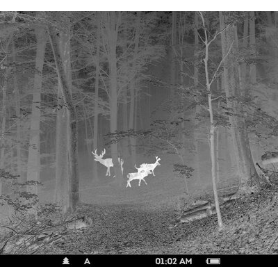 Termovízia pulsar core fxq38 bw - crop_990x910_crop_990x910_monocular-mode-forest