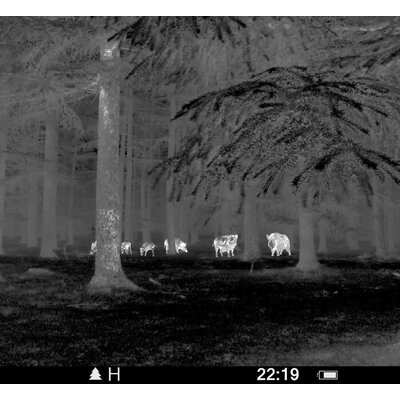 Termovízia pulsar core fxq38 bw - crop_990x910_crop_990x910_monocular-mode-general