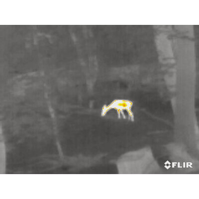 Termovízia flir scion otm 136 - FLIR0000049