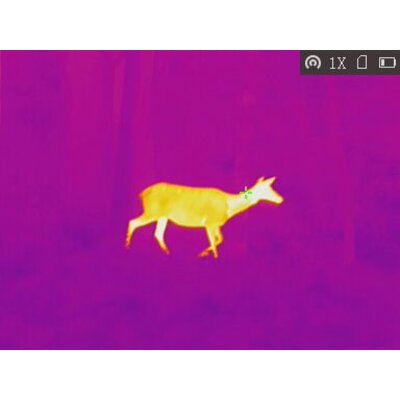 Termovízia tetrao bubo h-35 wi-fi 50hz detekcia na 3157 m - Termovizia_tetrao_bubo (1)