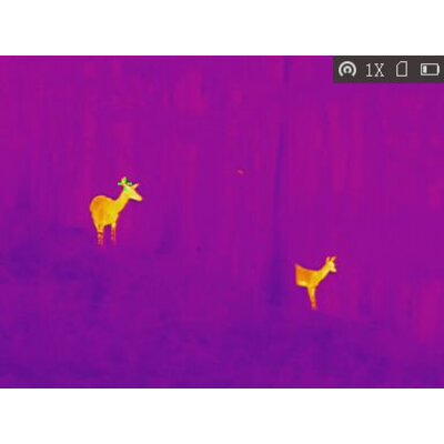 Termovízia tetrao bubo h-35 wi-fi 50hz detekcia na 3157 m - Termovizia_tetrao_bubo (6)