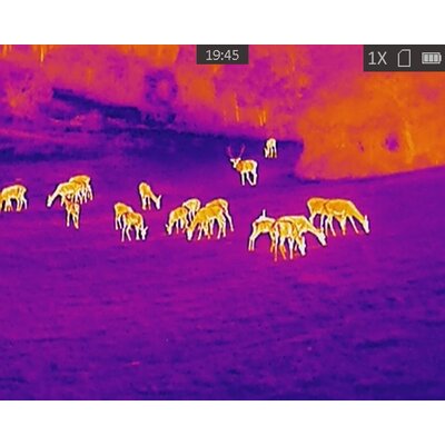 Termovízia tetrao buteo t-15, detekcia na 694 m - 20221007194532