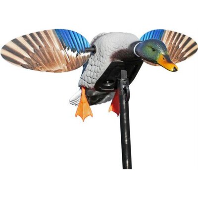 Balabán mojo mini mallard drake - balaban