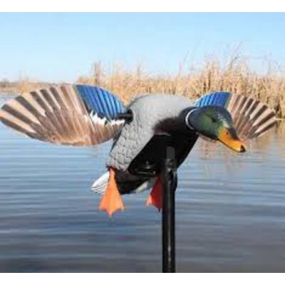 Balabán mojo mini mallard drake - stiahnuť