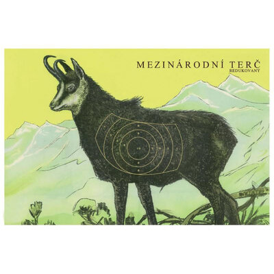 Terč medzinárodný redukovaný na 100 m - kamzík - terc_medzinarodny_redukovany_na_100_m_kamzik_1