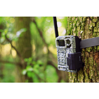 Fotopasca spypoint link-micro 4g - IMG_2350