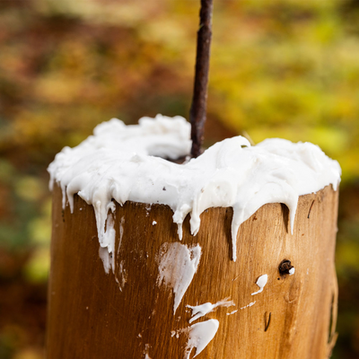 Soľná pasta lanýž - 2kg vedierko - solna_pasta_lanyz_2_kg_vedierko_10