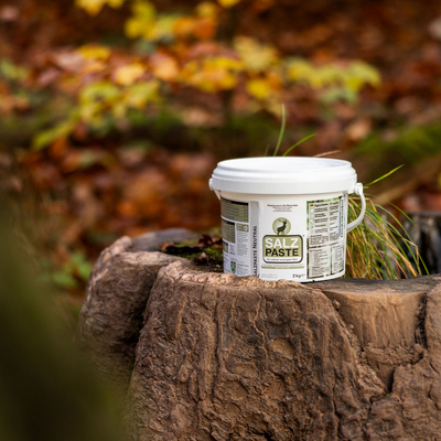 Soľná pasta neutrál - 2kg vedierko - solna_pasta_neutral_2kg_vedierko_1