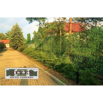 20151210151009-MaskovaciasietlesstrednUL3x6m2