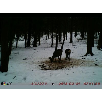 20180504130412-fotopas1ca_BG330