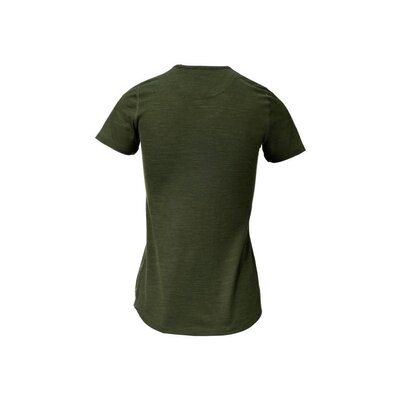 20173103130318-merino