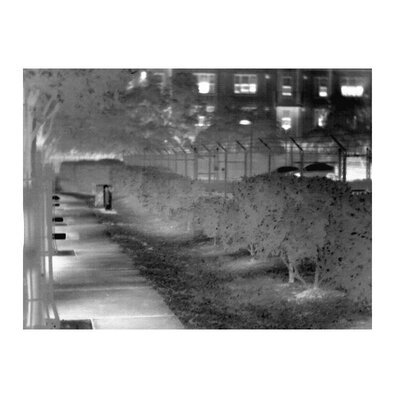 Termovízny pohľad na chodník a kríky v noci pomocou termovízie ATN OTS-HD