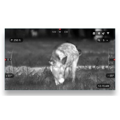 Záber z termovízie ATN OTS-HD 384 2-8x ukazujúci diviaka v noci, s teplotnými údajmi a kompasom na obrazovke.