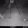 Fotopasca moultrie a-30 - 71AB3sKTHYL