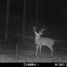 Fotopasca moultrie a-30 - 71BViaIrpuL