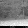 Fotopasca moultrie a-30 - 71FBqkv1CgL
