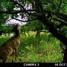 Fotopasca moultrie a-30 - 816JQD9-hvL