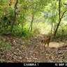 Fotopasca moultrie a-30 - 91PlN-uk32L