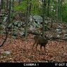 Fotopasca moultrie a-30 - 91+vWUwjdHL