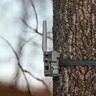 Fotopasca spypint flex - dvojbalenie za výhodnú cenu + 4 sim karty zdarma - fotopasca_spypoint_flex_stylova_fotka_3