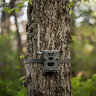 Fotopasca spypoint flex-m 28 mpx + 2 sim karty zdarma - fotopasca_spypoint_flex_28_mpx_2_sim_karty_zadarmo_6