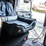 Alpenheat vyhrievaný vankúš  pre domáce zvieratá veľkosť s - MZGJeESQ