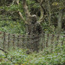 Maskovací 3d oblek deerhunter sneaky - maskovaci_oblek_hejkal_3D_deerhunter (1)