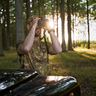 Pánske tričko härkila deer stalker camo s/s axis msp®forest - panske_tricko_harkila_deer_stalker_camo_ss_axis_msp_forest_1