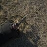 Puškohľad sightmark latitude 6,25-25x56 prs - puskohlad_sightmark_latitude_6,25-25x56_PRS_ (11)
