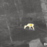 Termovízia flir scion otm 136 - FLIR0000049