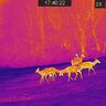 Termovízne zariadenie tetrao pandion h-35 pro lr - detekcia na 1800 m - 20220115174022