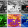 Termovízny zameriavač tetrao otus 450x 50 hz - detekcia 3000 m - termovizny_zameriavac_tetrao_otus_2