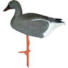 Balabán bean goose hus siatinná stojatá - balaban_sport_plast_lc_950