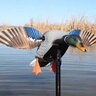 Balabán mojo mini mallard drake - stiahnuť